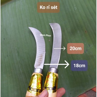 Bộ 2 dao rửa dừa , dụng cụ vệ sinh dừa (dài + ngắn)
