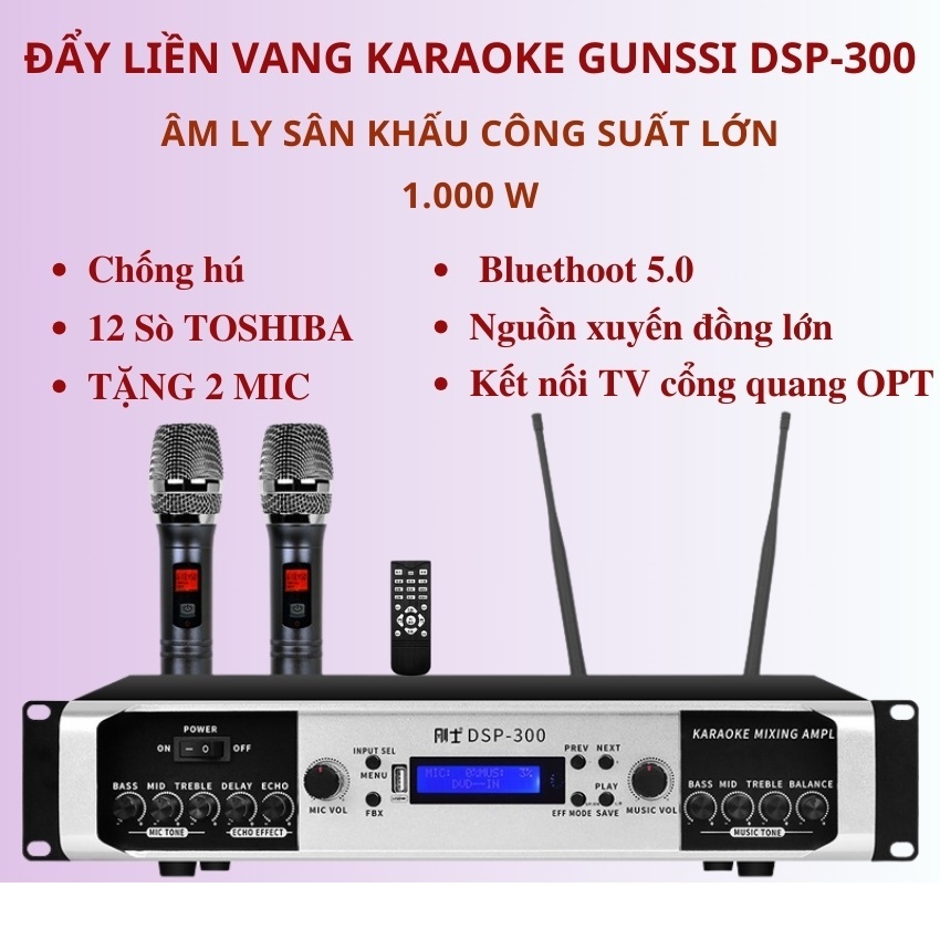 Đẩy liền vang. Âm ly karaoke bluetooth Gunssi DSP 300. Amply công suất lớn 1000w