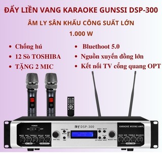 Đẩy liền vang. Âm ly karaoke bluetooth Gunssi DSP 300. Amply công suất lớn 1000w