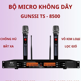 Bộ 2 micro không dây Gunssi TS 8500. Mic không dây, Micro karaoke chuyên nghiệp, chống hú, bắt xa