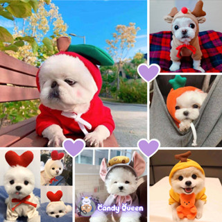 Áo Hoodie Noel Giáng Sinh Cho Chó Mèo Thú Cưng Họa Tiết Nai Sừng, Chuột, Ếch, Trái Tim TẾT 2025