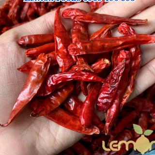 Ớt khô nguyên trái vị cay nồng, trộn khô gà, nấu lẩu cay, làm sa tế, ớt bột