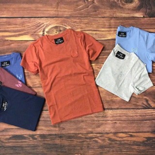 Áo thun nam Havis cổ tròn tay ngắn logo thêu đại bàng vải cotton mịn mát AXK001