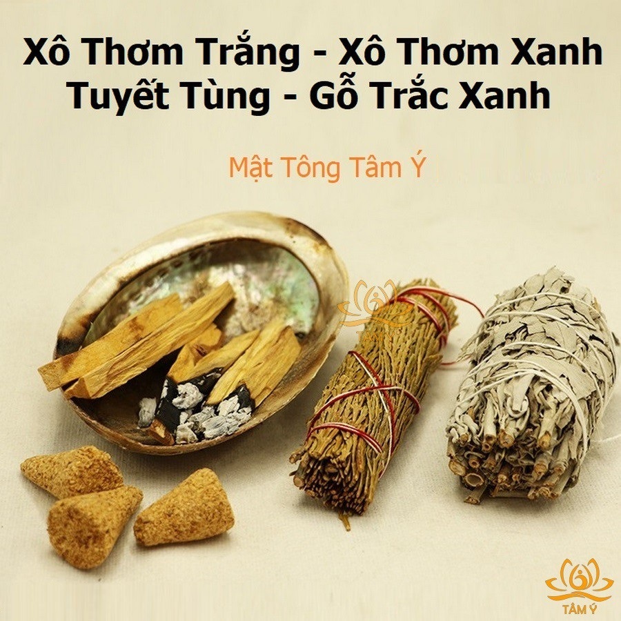Xô Thơm Trắng, Xô Thơm Xanh, Tuyết tùng, Gỗ Trắc Xanh Palo Santo Nam California White Sage/Blue Sage