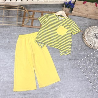 Bộ Dài Tay bé gái thu đông, vải thun cotton cao cấp, mát dịu bền đẹp - Trang25 Kids