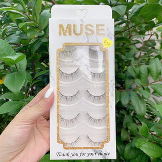Lông Mi Muse
