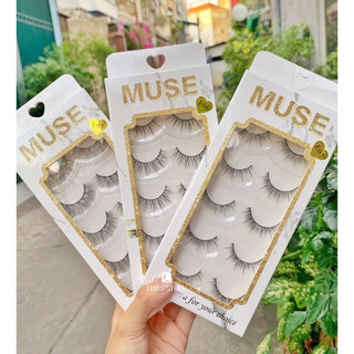 Lông Mi Muse