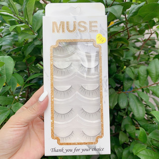 Lông Mi Muse