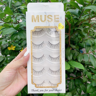 Lông Mi Muse