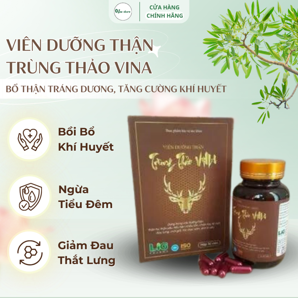 Viên uống dưỡng thận Trùng Thảo Vina tăng cường chức năng thận giảm tiểu đêm, ngừa đau mỏi thắt lưng