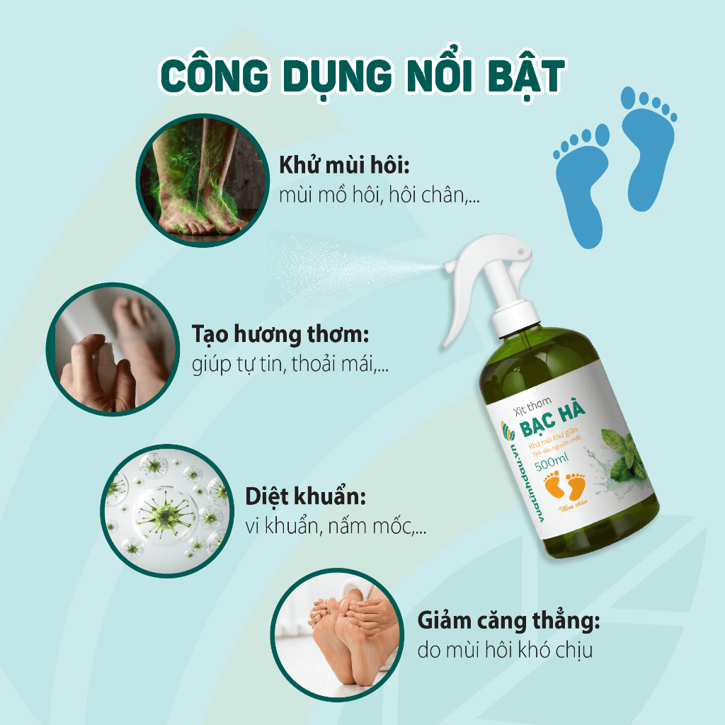 vn 11134207 7r98o lyrg3qu6c4st7c