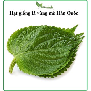 Hạt giống lá vừng- lá mè Hàn Quốc gói 0.5 gram