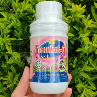 Phân bón lá cao cấp vitamin B1 Grofer  chai 500 ml nhập khẩu Thái Lan.
