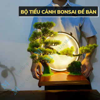 Bộ Tiểu Cảnh Kệ Cây Bonsai kèm đèn LED, Bộ Bonsai mini dùng trang trí decor [ Như Hình-kèm Phụ kiện]