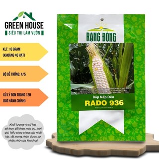 Hạt giống Bắp Nếp Dẻo Rado 936 (10g~40 hạt) hiệu Rạng Đông, trồng quanh năm, trái to, dễ chăm | Green House