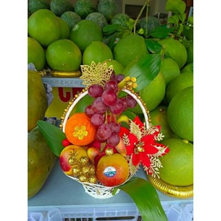 Giỏ nhựa cắm hoa mini ( rộng miệng 17cm)