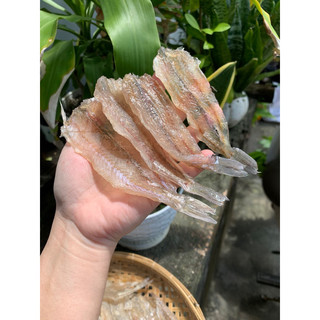 Khô cá đục không xương, trọng lượng 500gram - Đặc sản Cà Mau