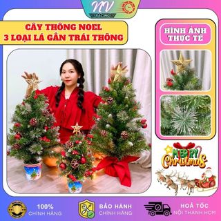 Cây thông noel mini để bàn 3 loại lá gắn trái thông có trang trí decor trang trí giáng sinh noel