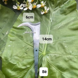 Cu liêm giựt bông. tỉa chồi, tuyển bông, tuyển trái