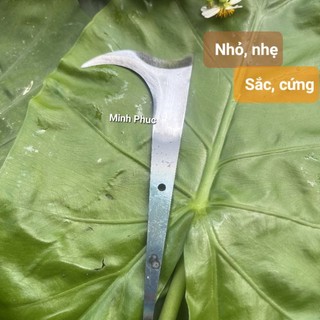 Cu liêm giựt bông. tỉa chồi, tuyển bông, tuyển trái