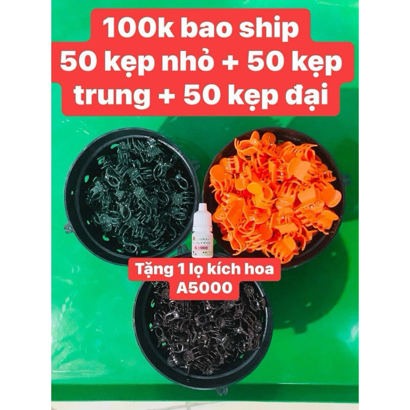 combo100k 1 lọ kích hoa a5000 + 50 kẹp nhỏ + 50 kẹp trung + 50 kẹp đại