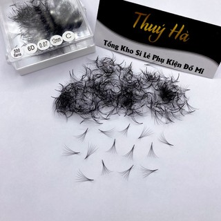 Mi fan sẵn 6d-hộp 500-1000fan- dày 0.07-c-cc-d -dụng cụ nối mi -thuý ha
