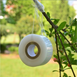 Bộ 5 cuộn băng keo ghép cây tự dính khổ 3cm ❤️freeship❤️