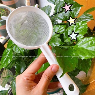Rây lọc nấm Kefir, lọc trà, lọc cháo, rau củ