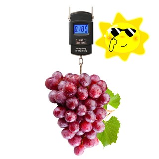 Cân trọng lượng kỹ thuật số điện tử có móc treo 5g-50kg
