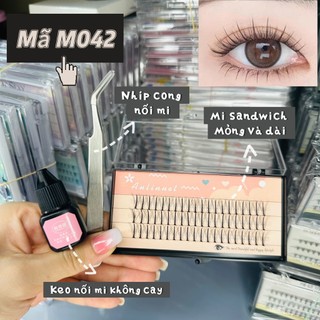 Combo Mi tự nối tại nhà dáng mi chùm tự nhiên trọn bộ dụng cụ tự nối tại nhà tranny_lenscontact