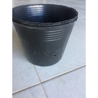 Túi bầu nhựa mềm ươm cây1kg - chậu đẹp bền