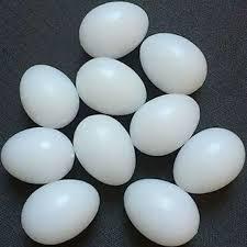 Trứng nước cho chim bồ câu