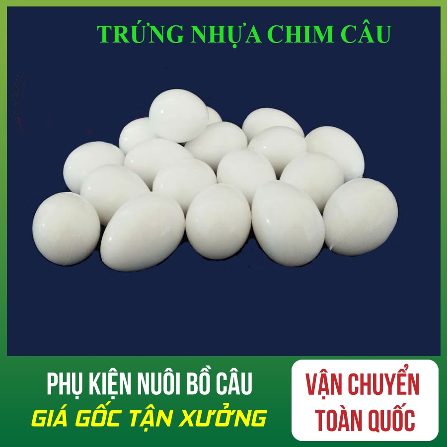 Trứng nước cho chim bồ câu