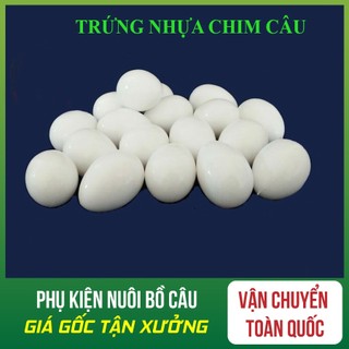 Trứng nước cho chim bồ câu