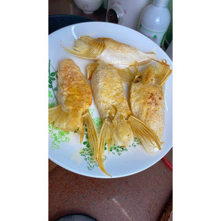 Ức cá dứa khô 500gr-1kg