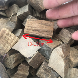Gỗ sữa cắt khúc trồng lan - mai huy - ms 1292
