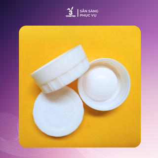 [MẪU PHÍCH MỚI] Nắp phích nhựa Rạng đông 2L