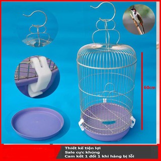 Lồng chào mào inox cao đk 32x c61cm