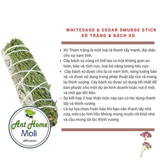Bó lá xô thơm trắng - Bách xù 10cm "Xô bảo vệ" White Sage mix Juniper (xô trắng - Bách xù)