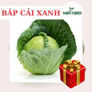 Hạt giống rau bắp cải xanh f1 tr54