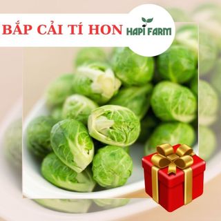 Hạt giống rau bắp cải tí hon, gói 0.5gr tr50