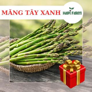 Hạt giống măng tây xanh, gói 1gr tr53