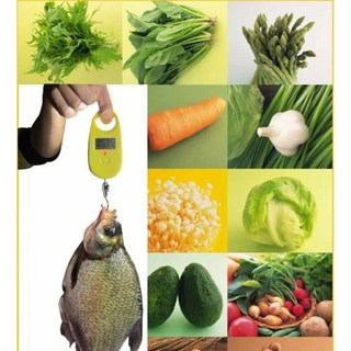 Cân móc điện tử bỏ túi 25kg