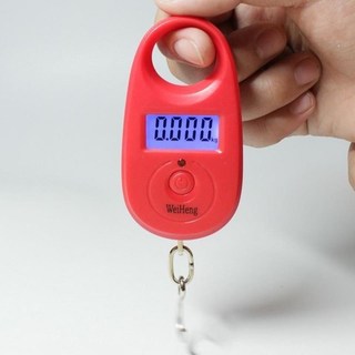 Cân móc điện tử bỏ túi 25kg