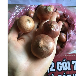 1 kg hành khô một nhánh - hành khô cô đơn thơm ngon