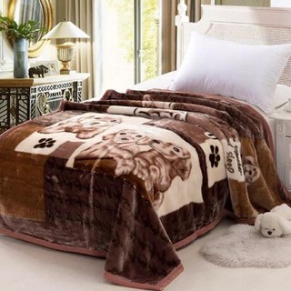 Chăn tuyết nhung 2 lớp loại dày, mền bông mùa đông cotton mềm mịn 1m6x2m