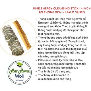 🌟Xô thơm Lá Thông (Pine Smudge) 🌟 XÔ THƠM THANH TẨY chiêu tài và bảo vệ