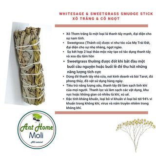 Bó lá xô thơm mix cùng cỏ ngọt xông thơm nhà cửa 10cm ( White Sage with Sweetgrass 4"L )