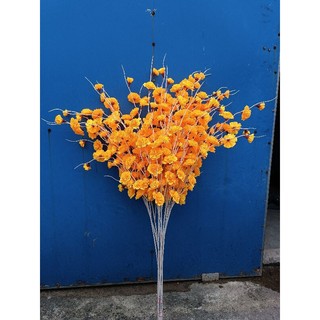 Cành Đào Râu