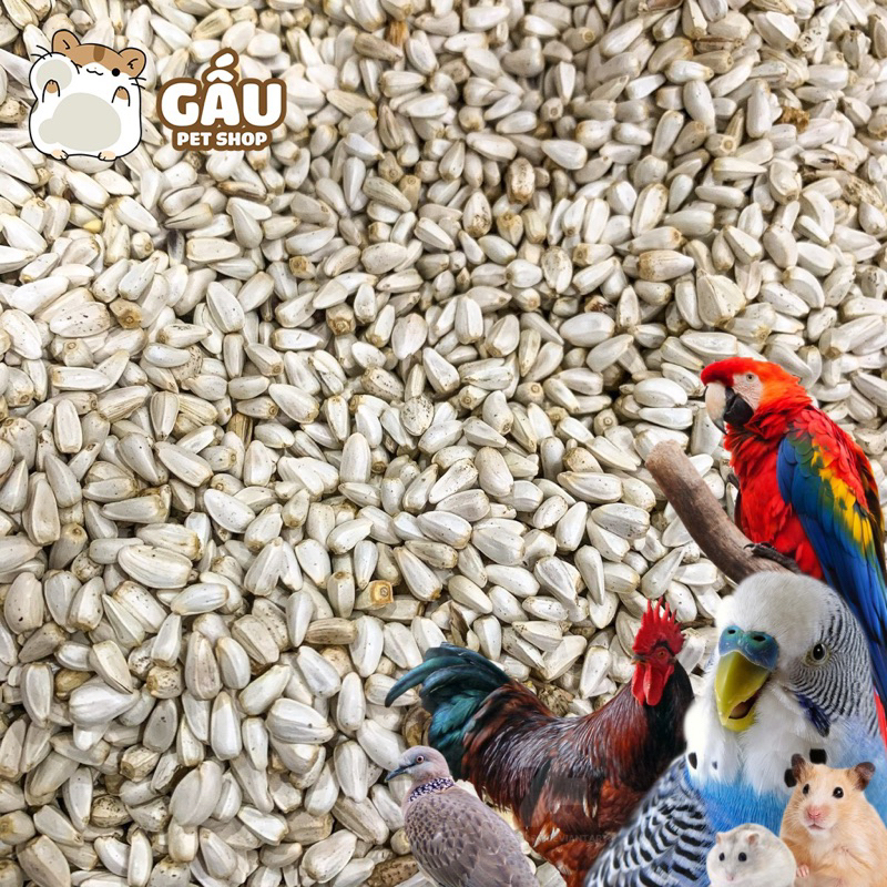 Hạt kham cho Hamster / Chim cảnh / Gà